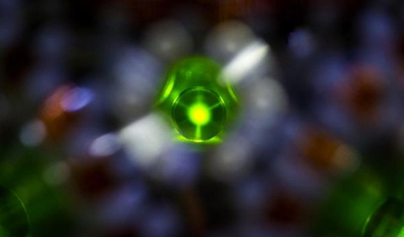 a green MOT