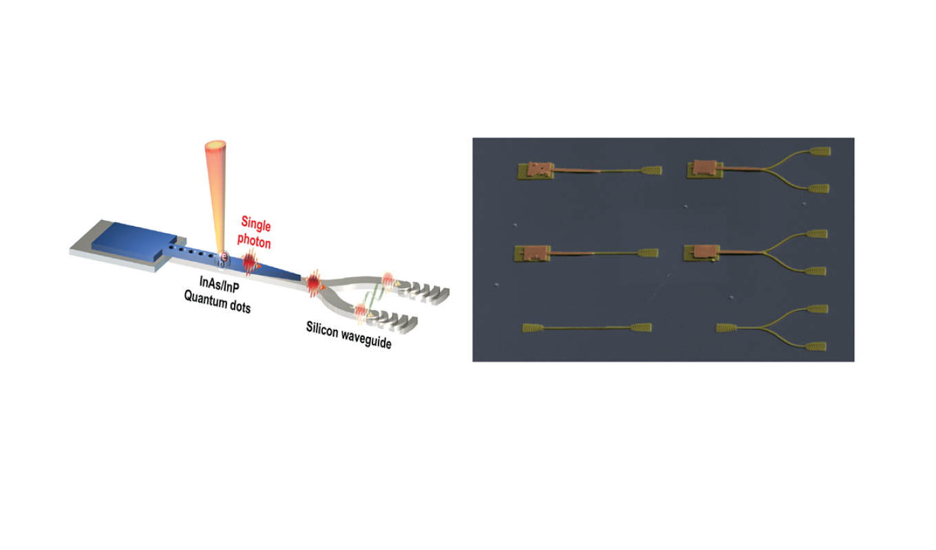 Quantum confined emiters hero image