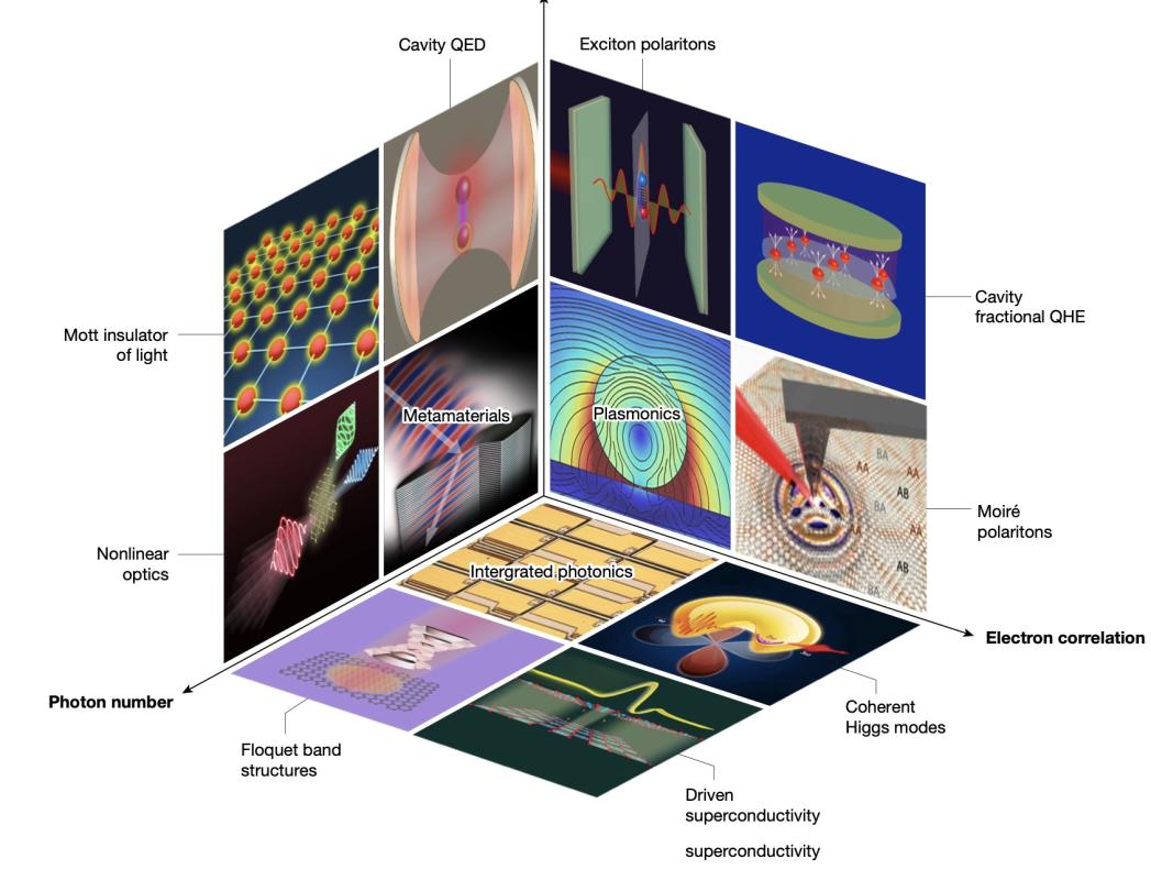 Hero image for Strongly correlated electron–photon systems