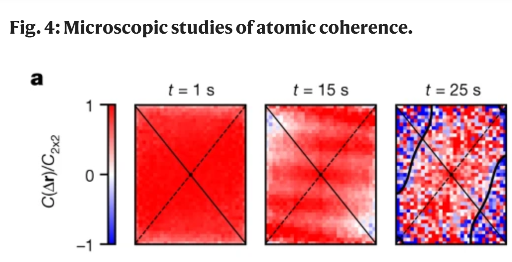 TweezerClockCoherence