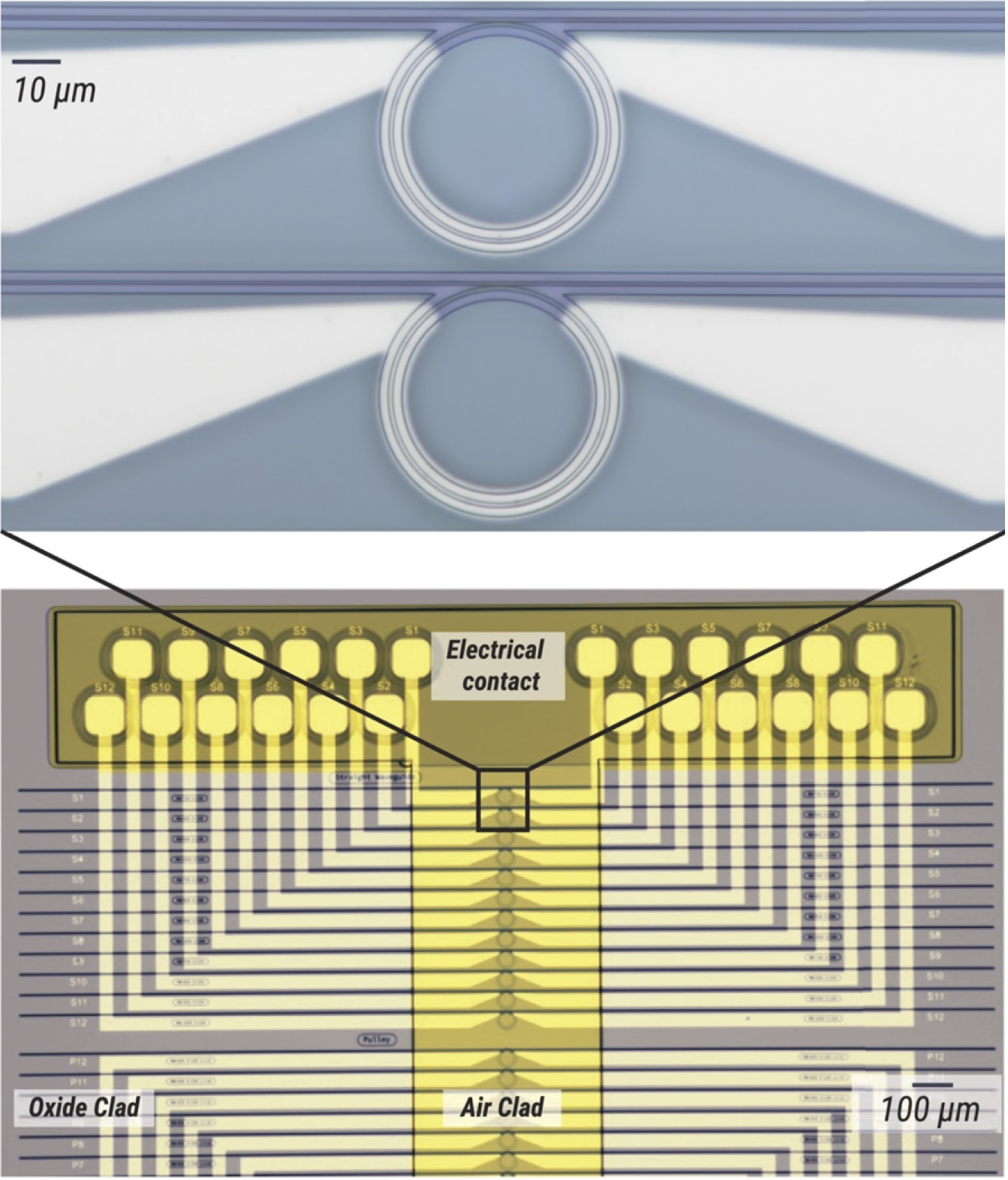 Pictures from an optical microscope showing metallic heaters underneath microring resonators.