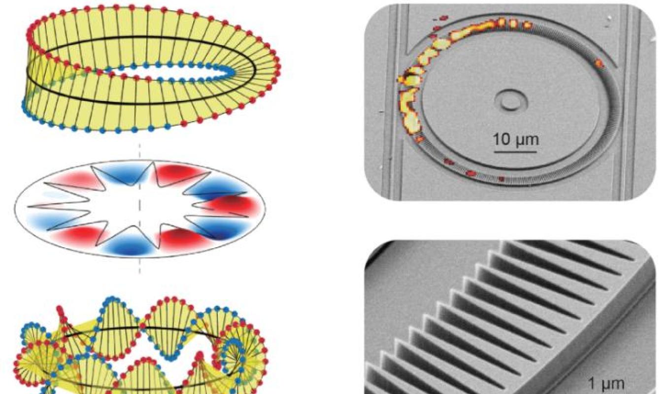 Whispering gallery modes exhibiting half-integer optical angular momentum