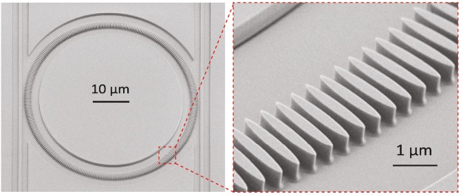 Scanning electron microscope image of a photonic crystal microring with a rod-shaped unit cell.