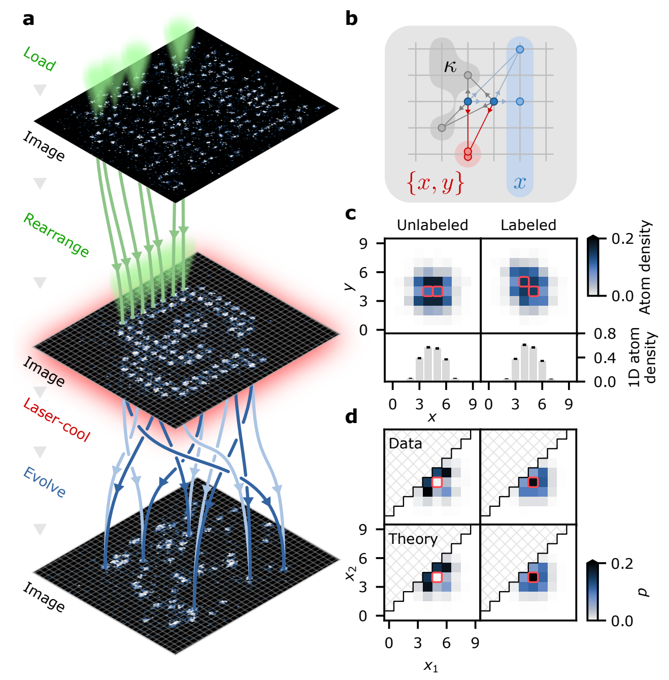 An atomic boson sampler
