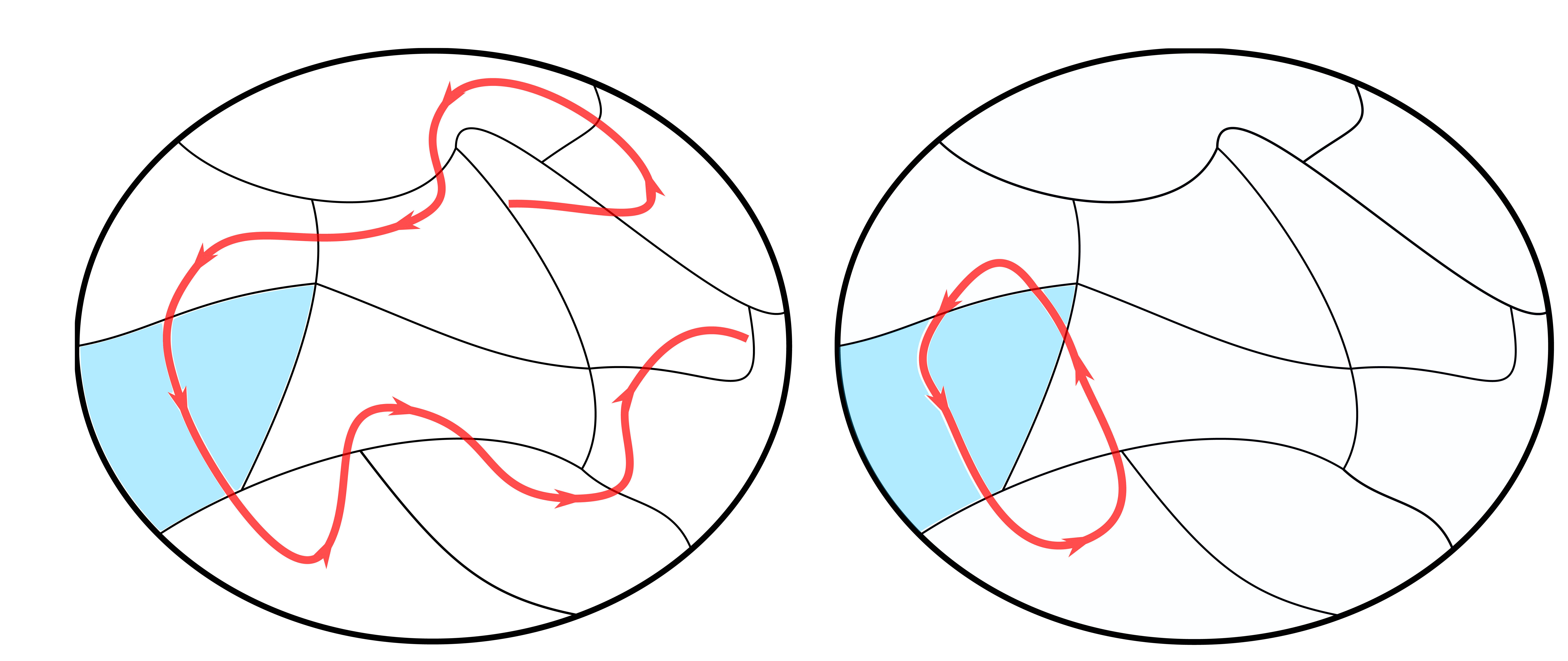 Two ovals divided into cells, left: red arrow goes through all cells, right: red arrow goes through only a few cells