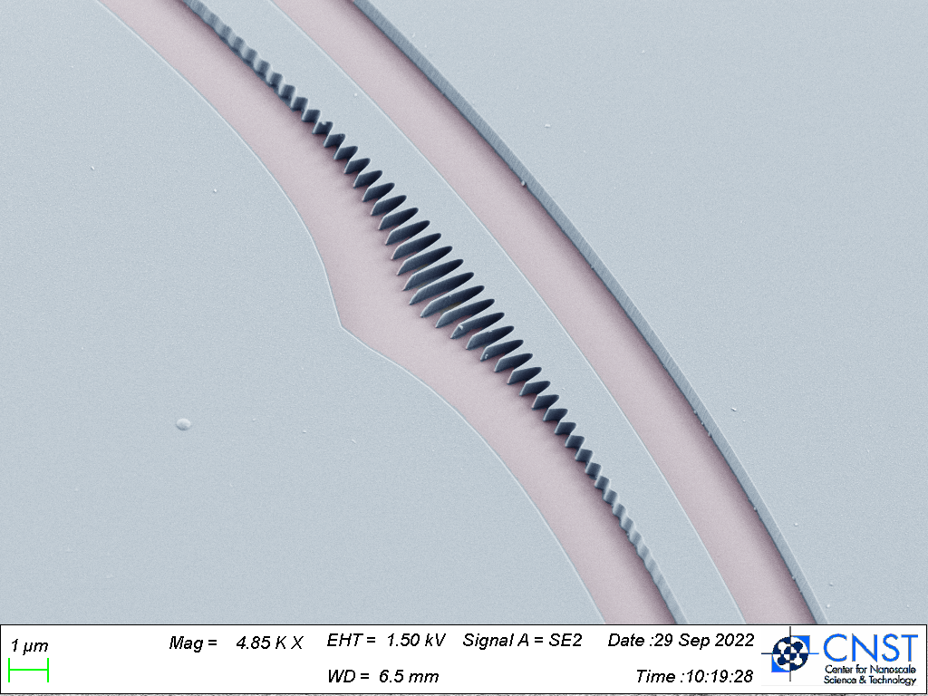 Scanning electron microscope image of a grating inscribed on the inner sidewall of a microring resonator.