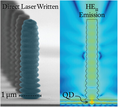 Scanning electron microscope image and electromagnetic simulation of a 3D-printed polymer nanowire waveguide.